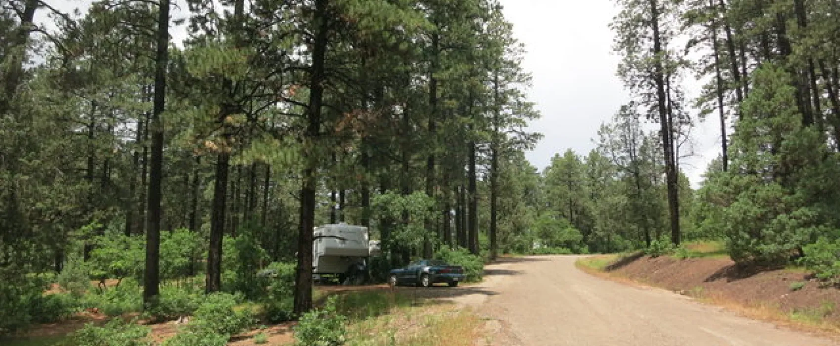 Lower Hermosa Campground