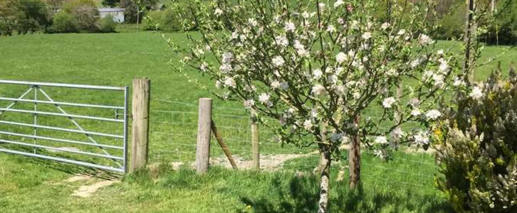 Wern Ddu Farm