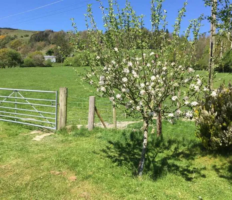 Wern Ddu Farm