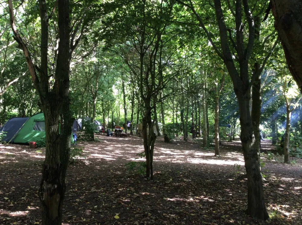 L'orangerie de Beauregard