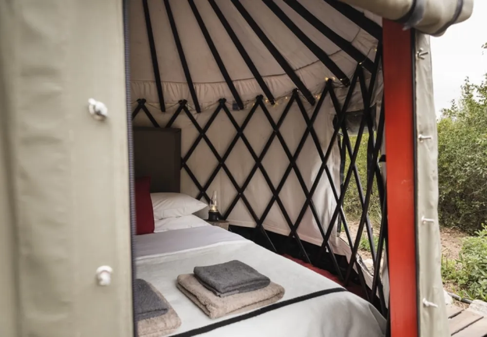 Kestrel Yurt Camp