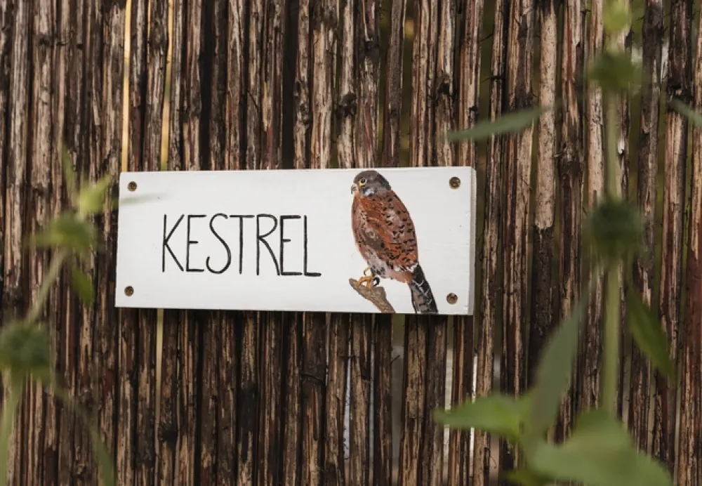 Kestrel Yurt Camp
