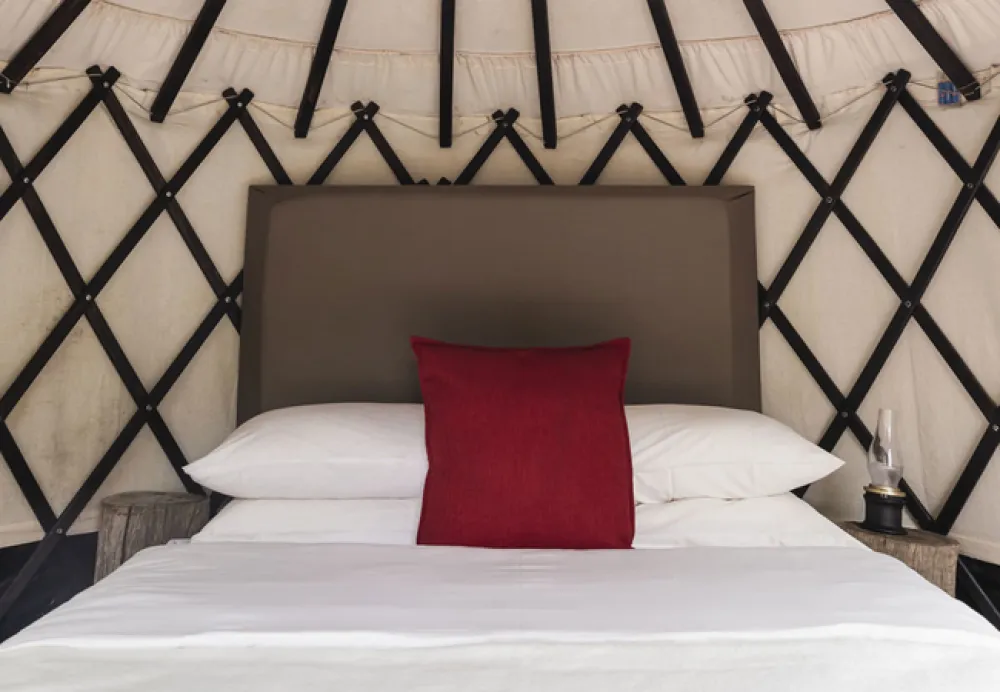 Kestrel Yurt Camp
