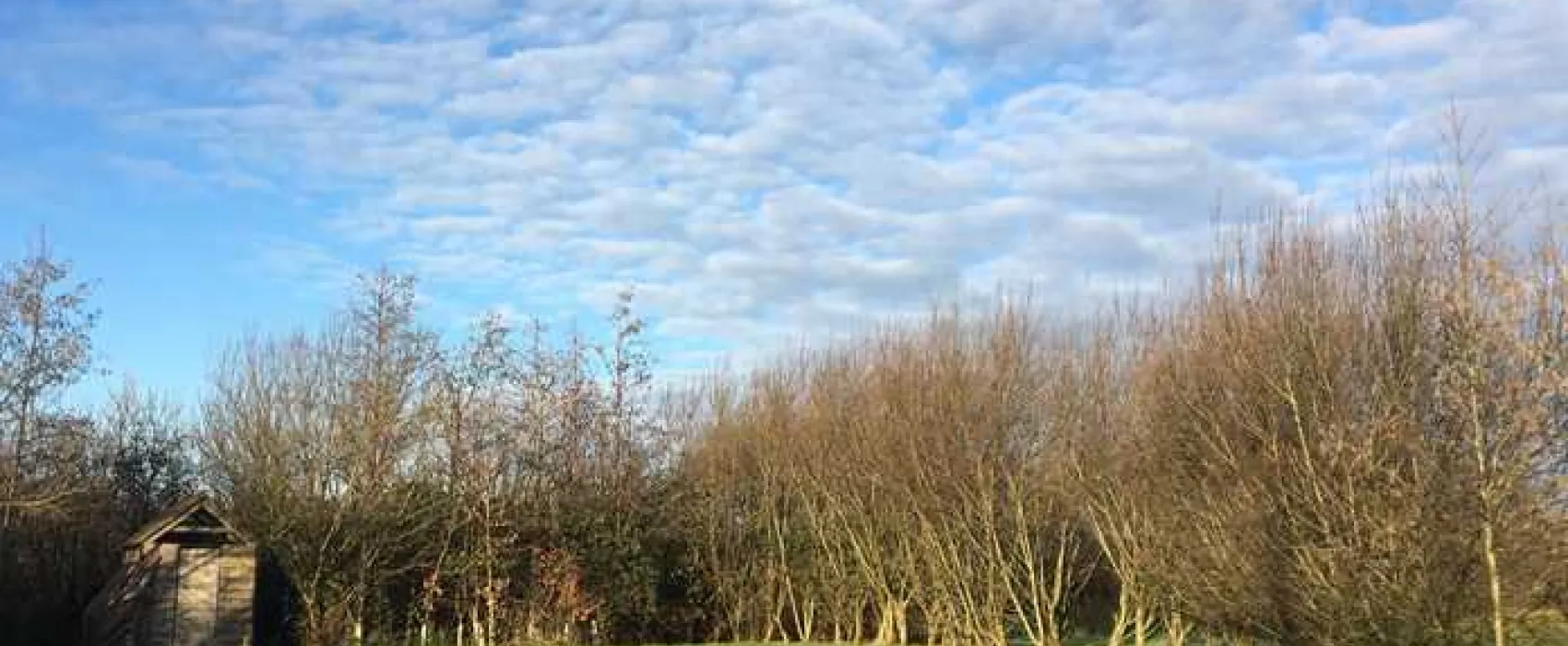 Bakesdown Farm Camping