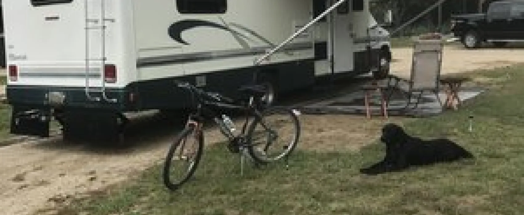 Mecosta Pines Campground