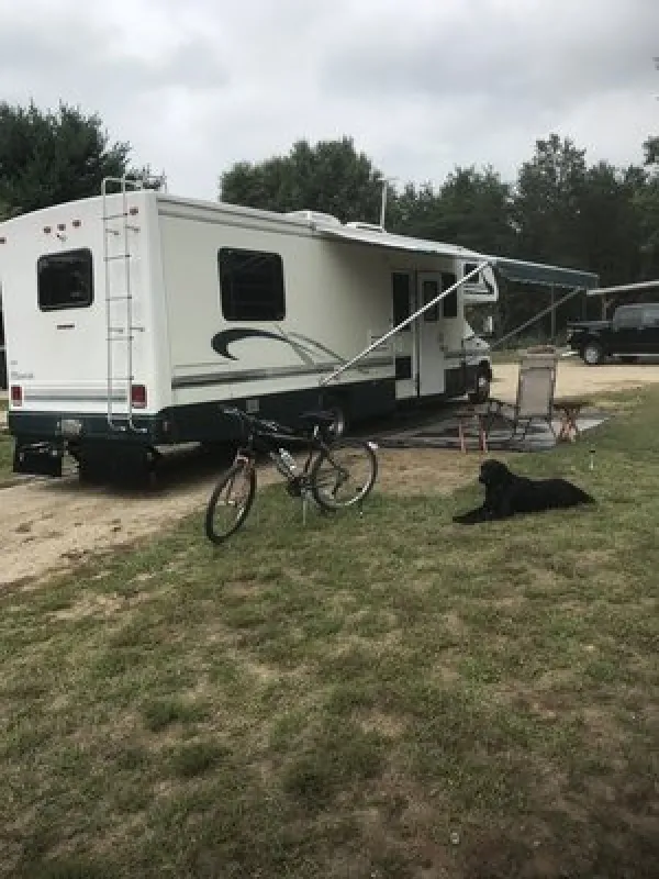 Mecosta Pines Campground