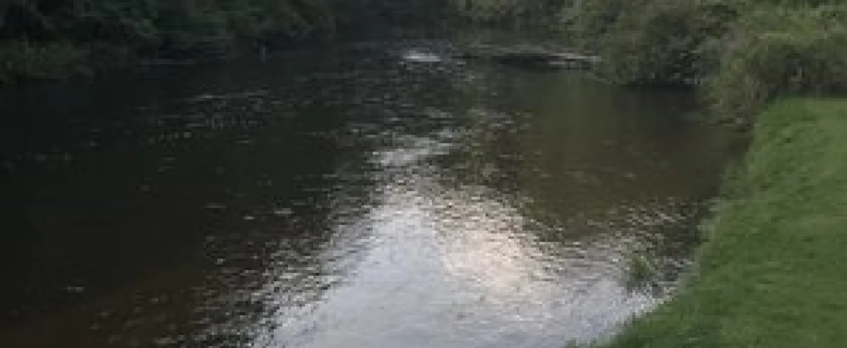 Mecosta Pines Campground