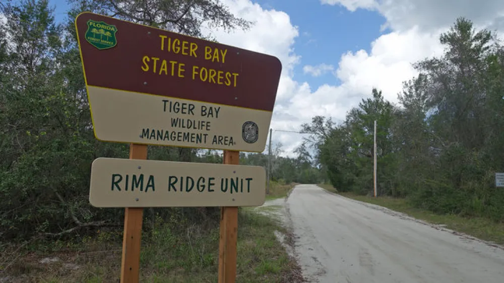 Bennett Field Campground