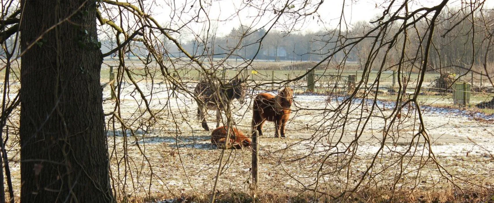 Minicamping 't Fleerhof