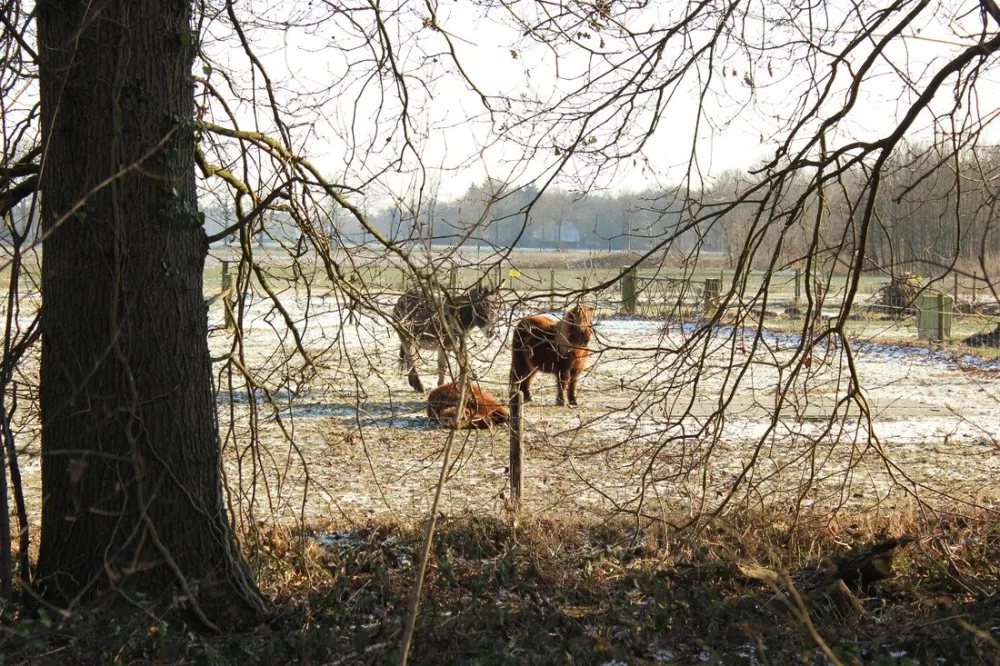 Minicamping 't Fleerhof