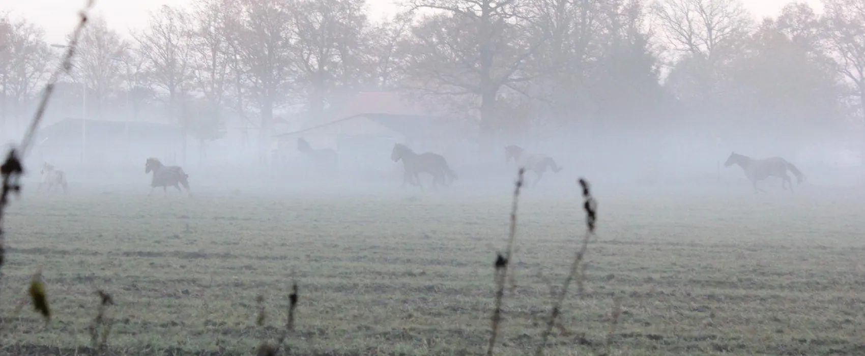 Minicamping 't Fleerhof