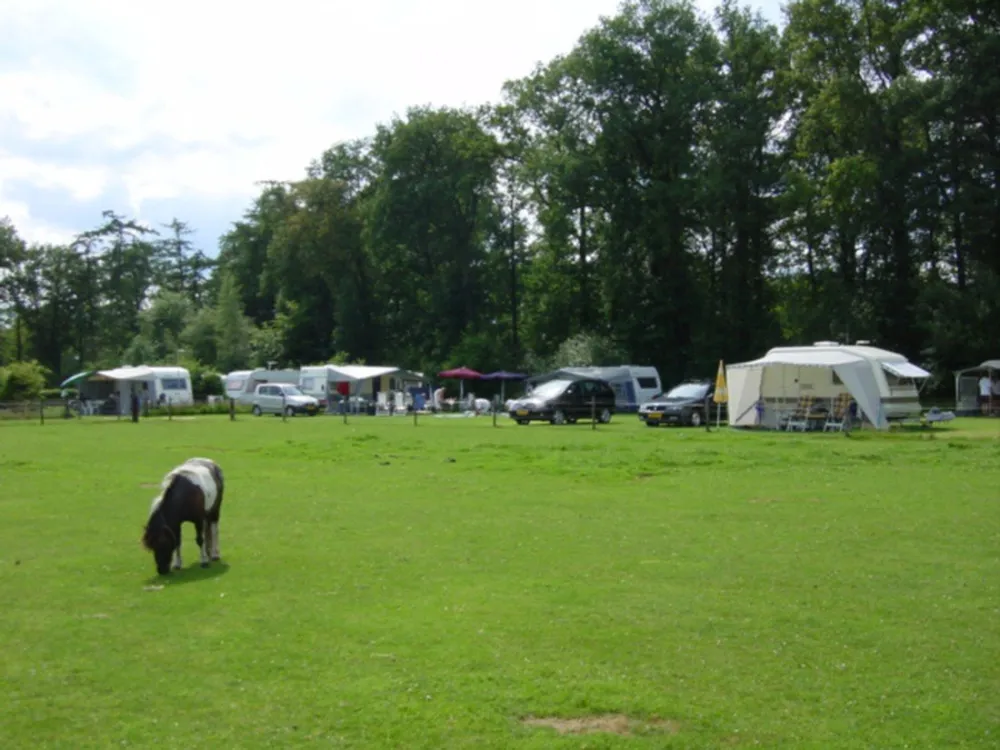 Minicamping 't Fleerhof