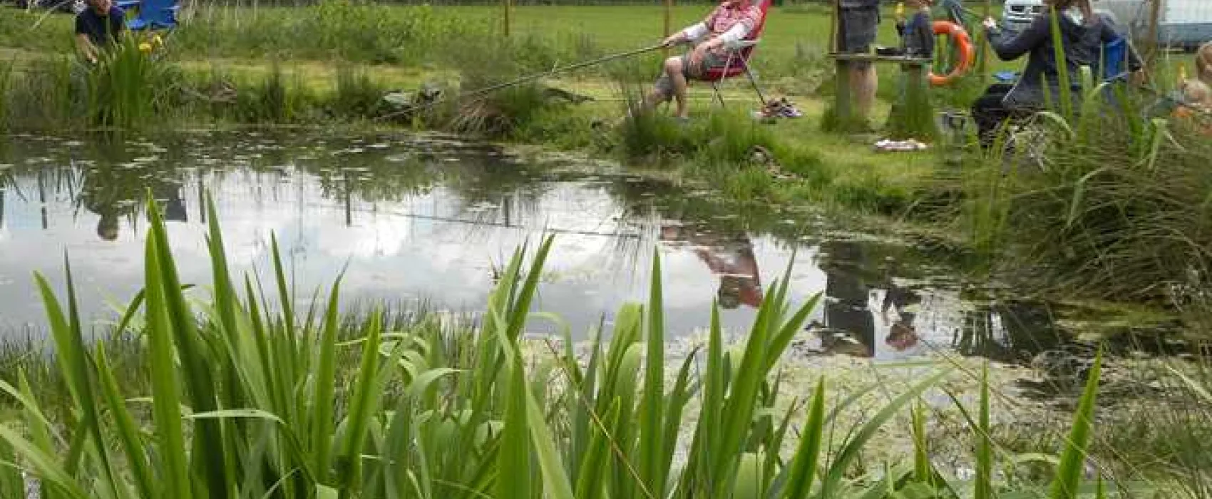 Spring Farm Campsite