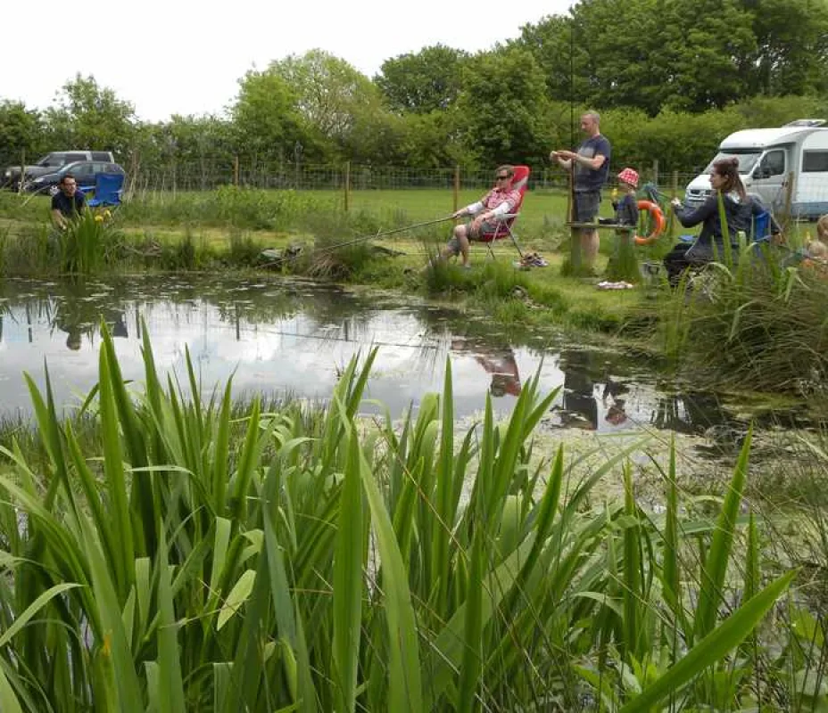 Spring Farm Campsite