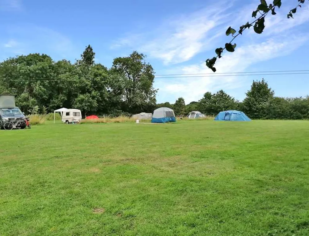 Spring Farm Campsite