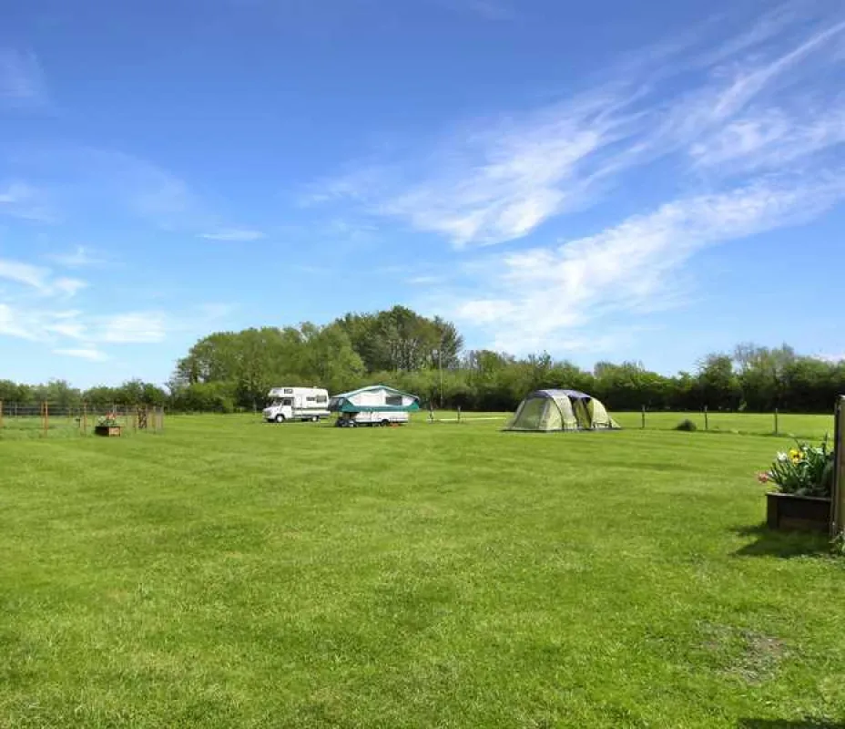 Spring Farm Campsite