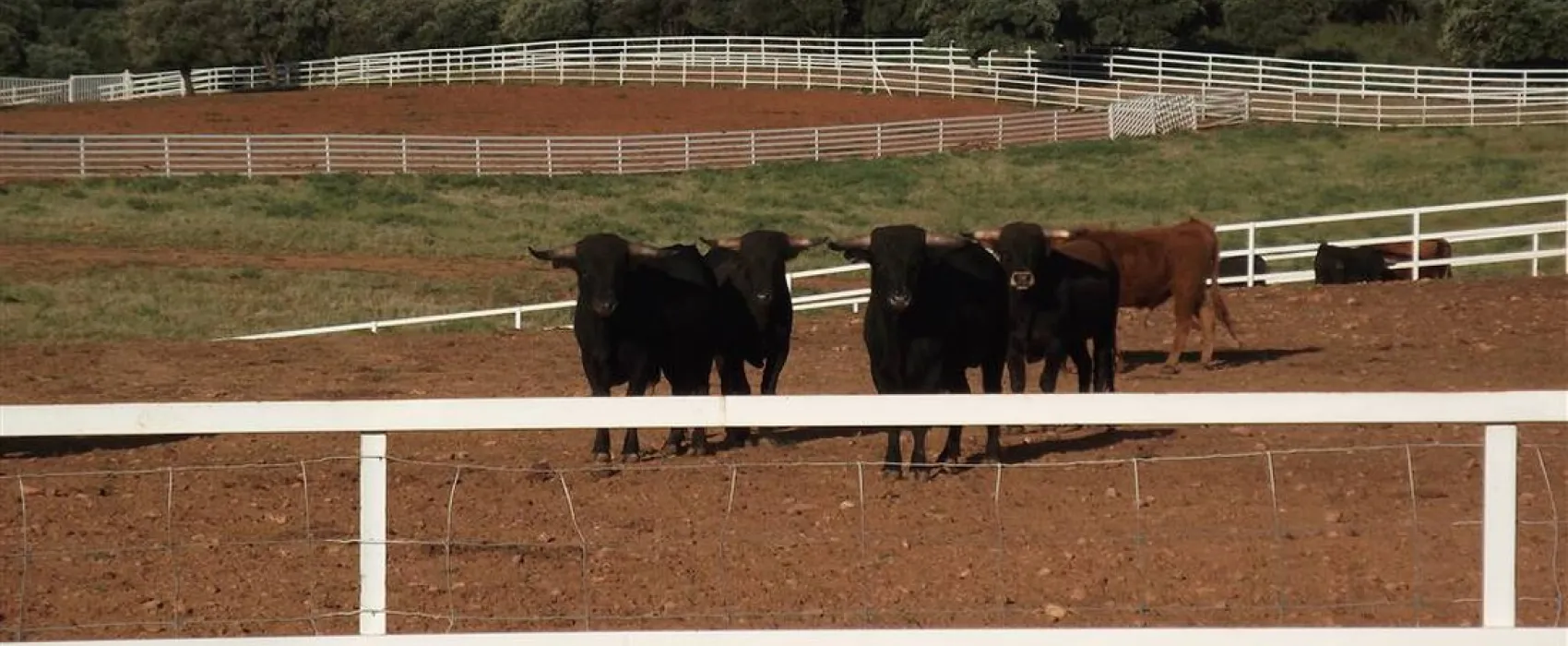 Sierra de Peñascosa