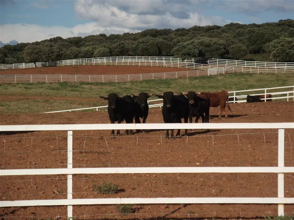 Sierra de Peñascosa