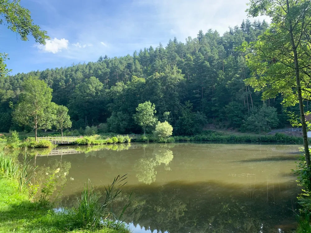 Camping Waldberg