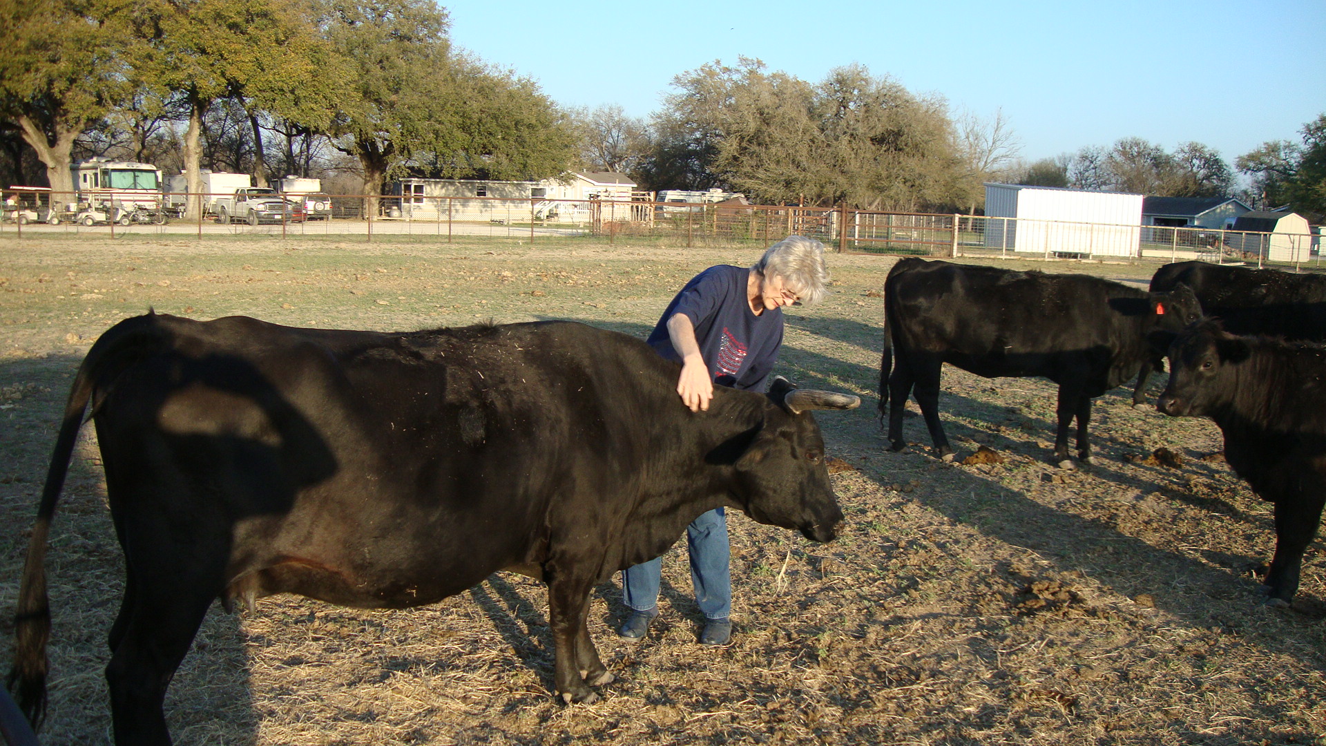 Alamo River RV Ranch Resort photo 3
