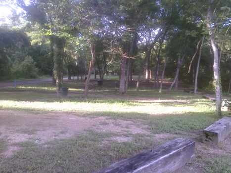 Alamo River RV Ranch Resort photo 4