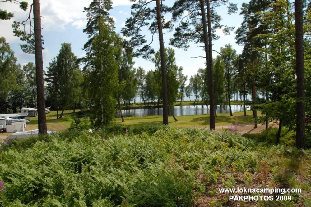 Lökna Camping och Stugby