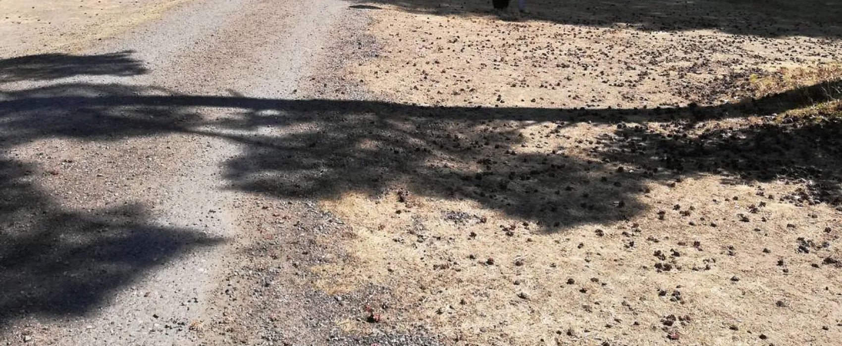 Lökna Camping och Stugby