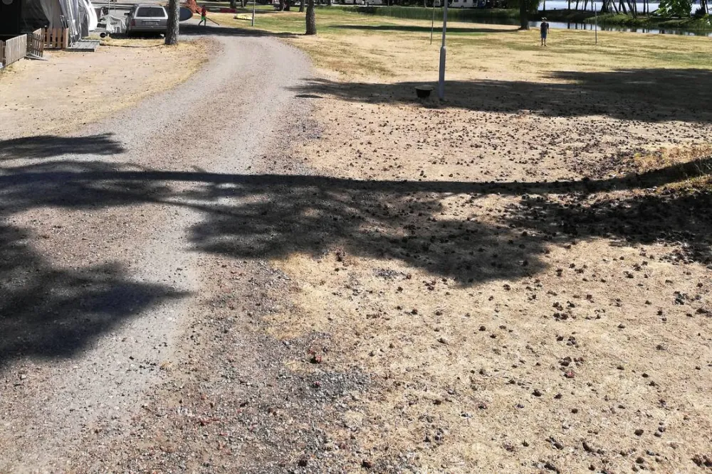 Lökna Camping och Stugby