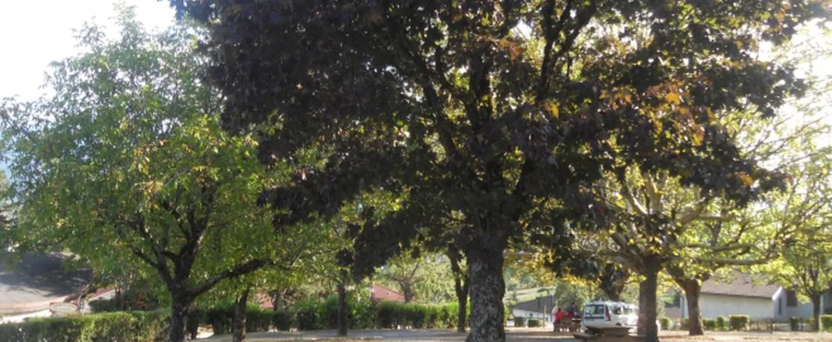 Camping Municipal La Combe