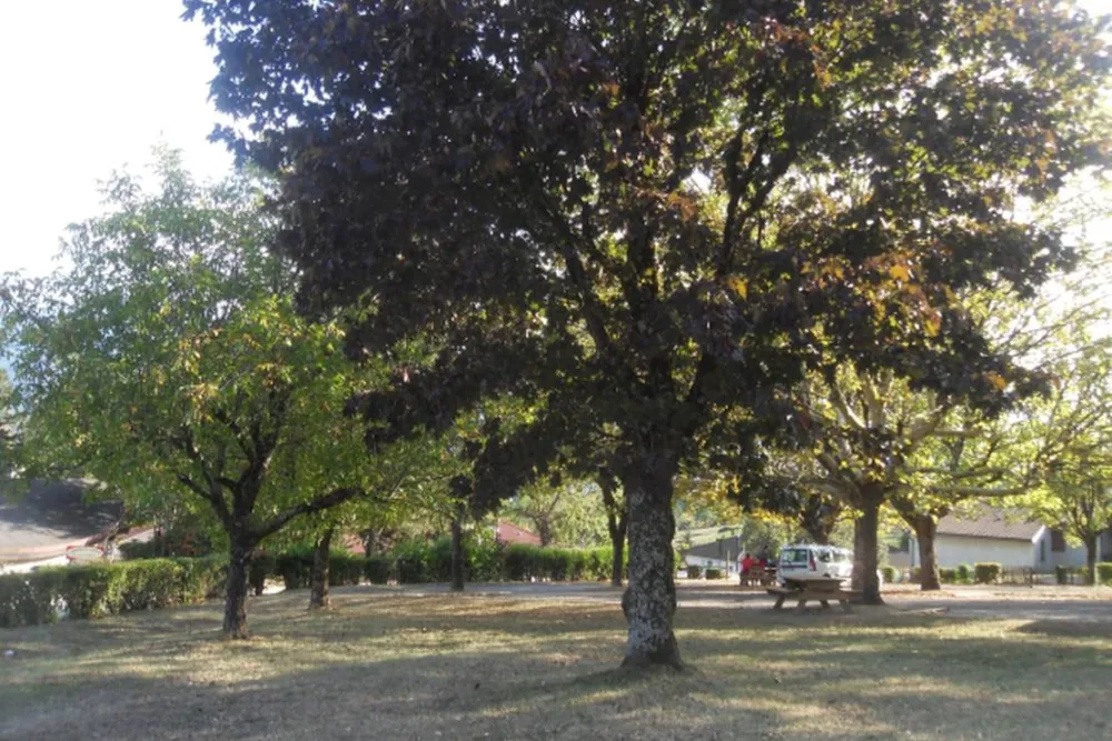 Camping Municipal La Combe