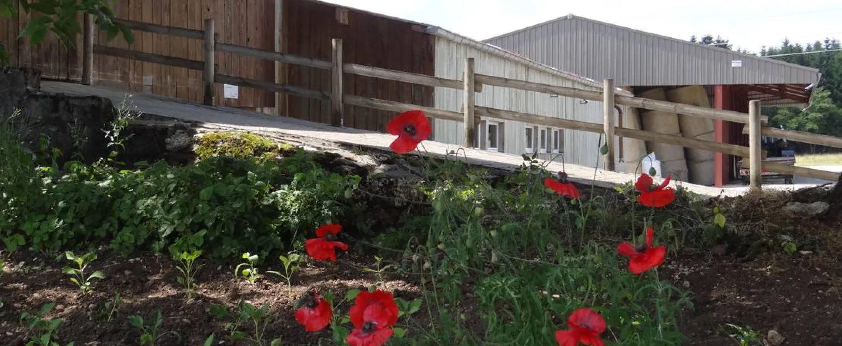 Camping a la ferme de Le Cret