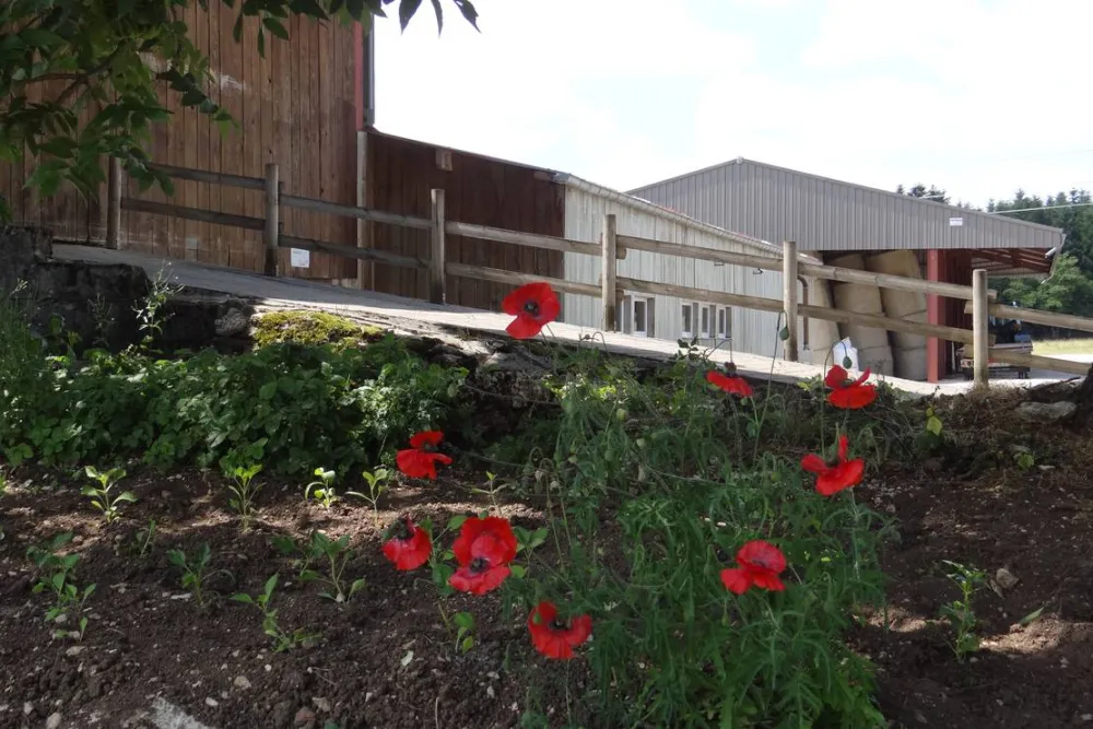 Camping a la ferme de Le Cret