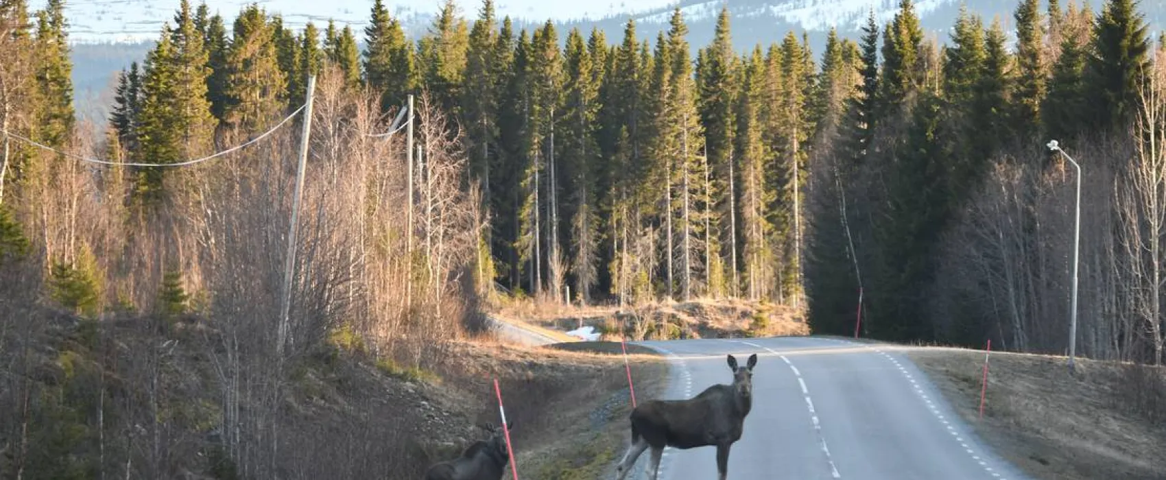Kallsedets Fjällcenter