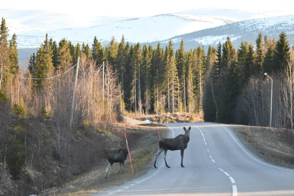 Kallsedets Fjällcenter