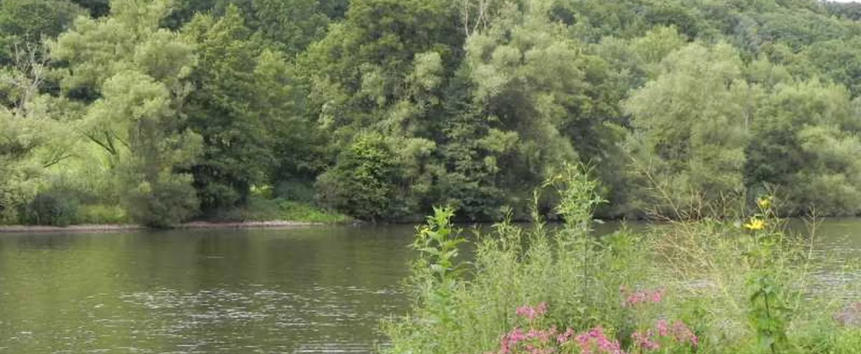 Park Wertheim - Bettingen