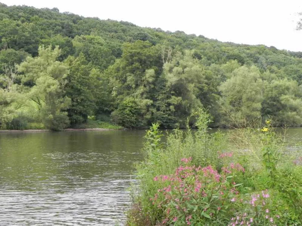 Park Wertheim - Bettingen