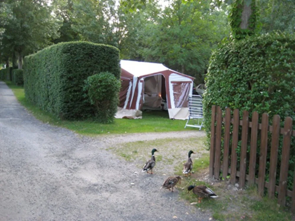 De la Petite Source La Plage aux Champs