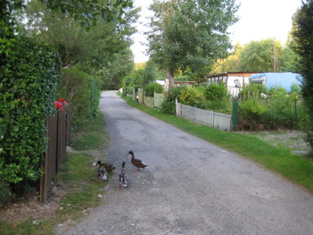 De la Petite Source La Plage aux Champs