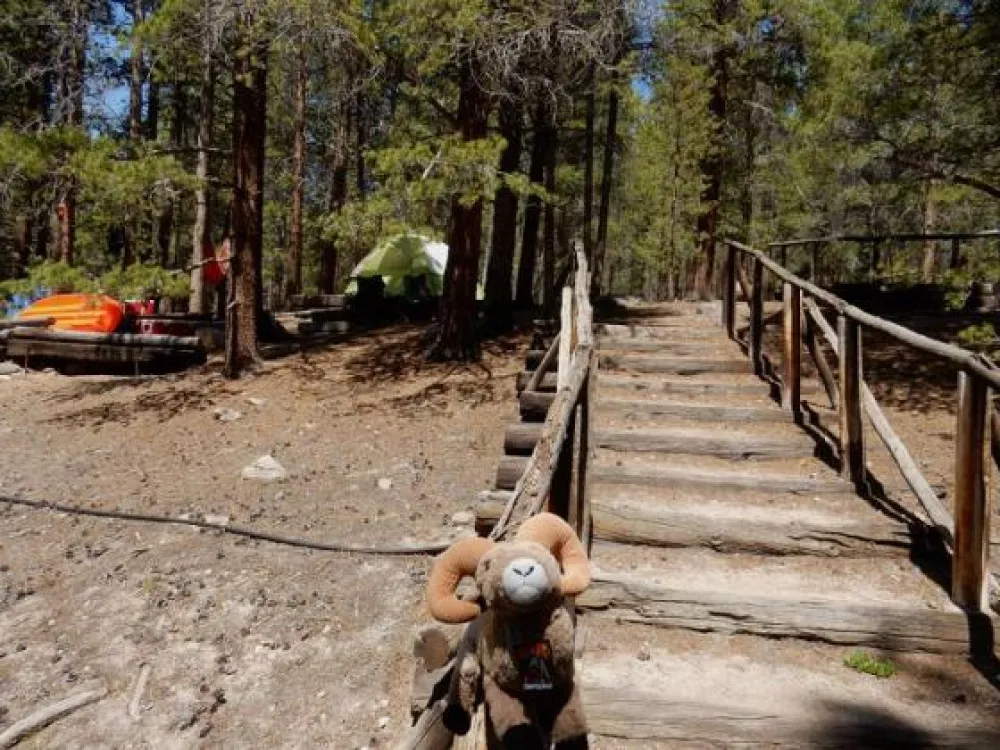 Sugar Loafin' RV Campground/Cabins