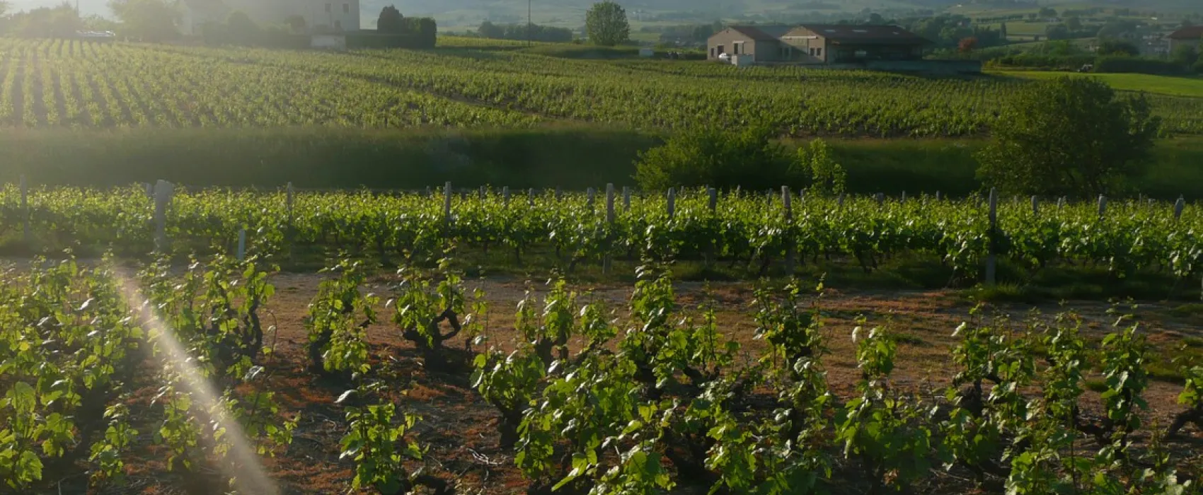 Domaine de la Maison Germain