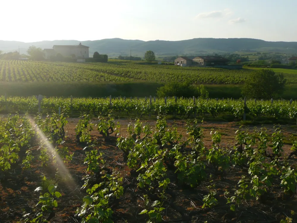 Domaine de la Maison Germain