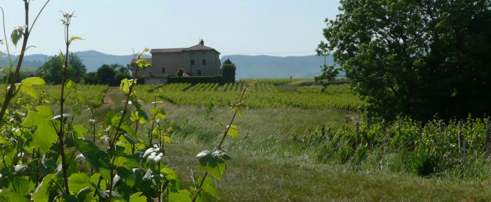 Domaine de la Maison Germain