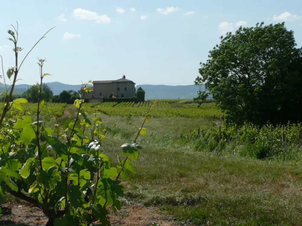 Domaine de la Maison Germain