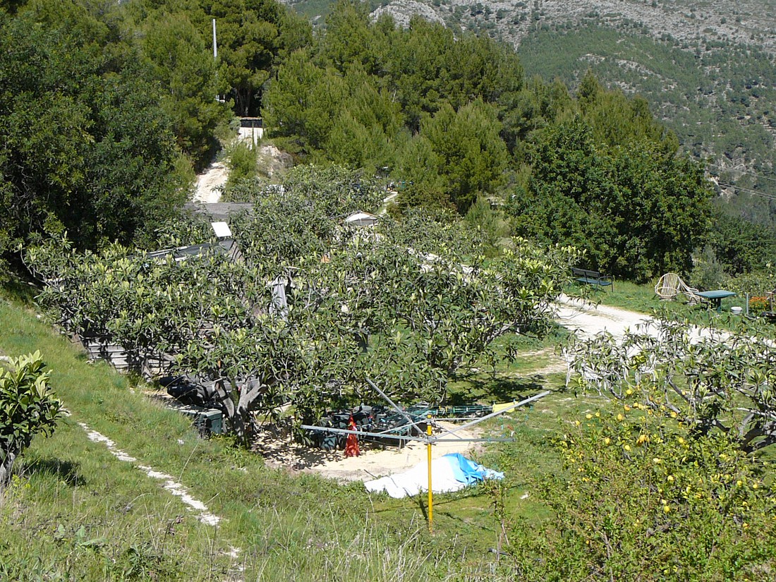 Finca la Higuera photo 5