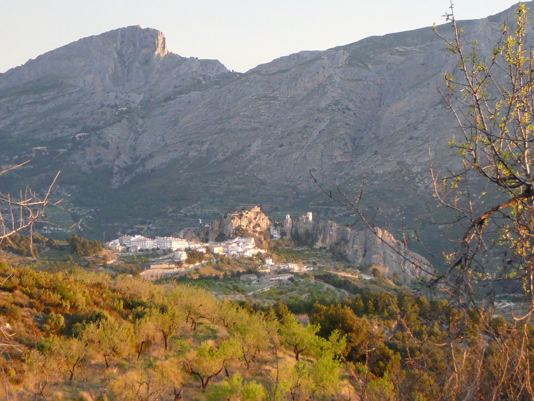 Finca la Higuera photo 4