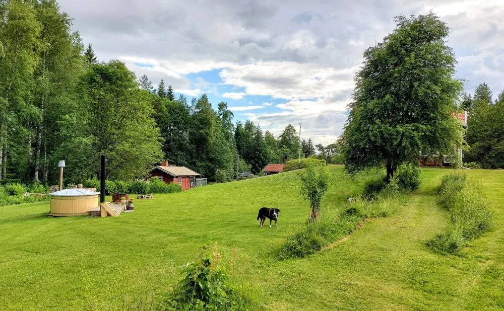 Ängalyckan - Tiveden