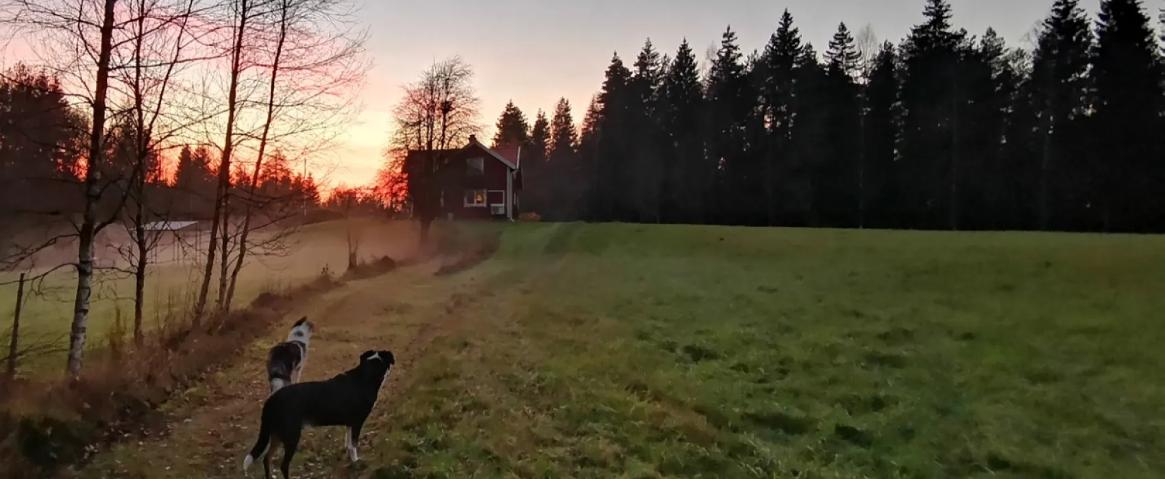 Ängalyckan - Tiveden