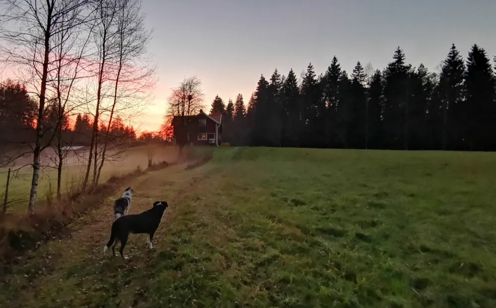 Ängalyckan - Tiveden