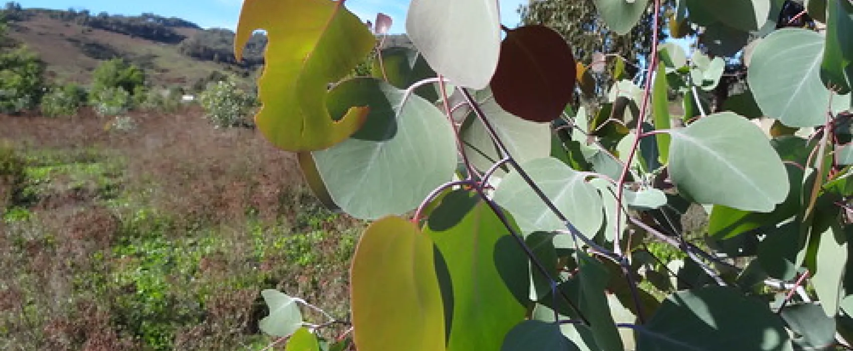 Yachting Point (Blowering Dam) Campground
