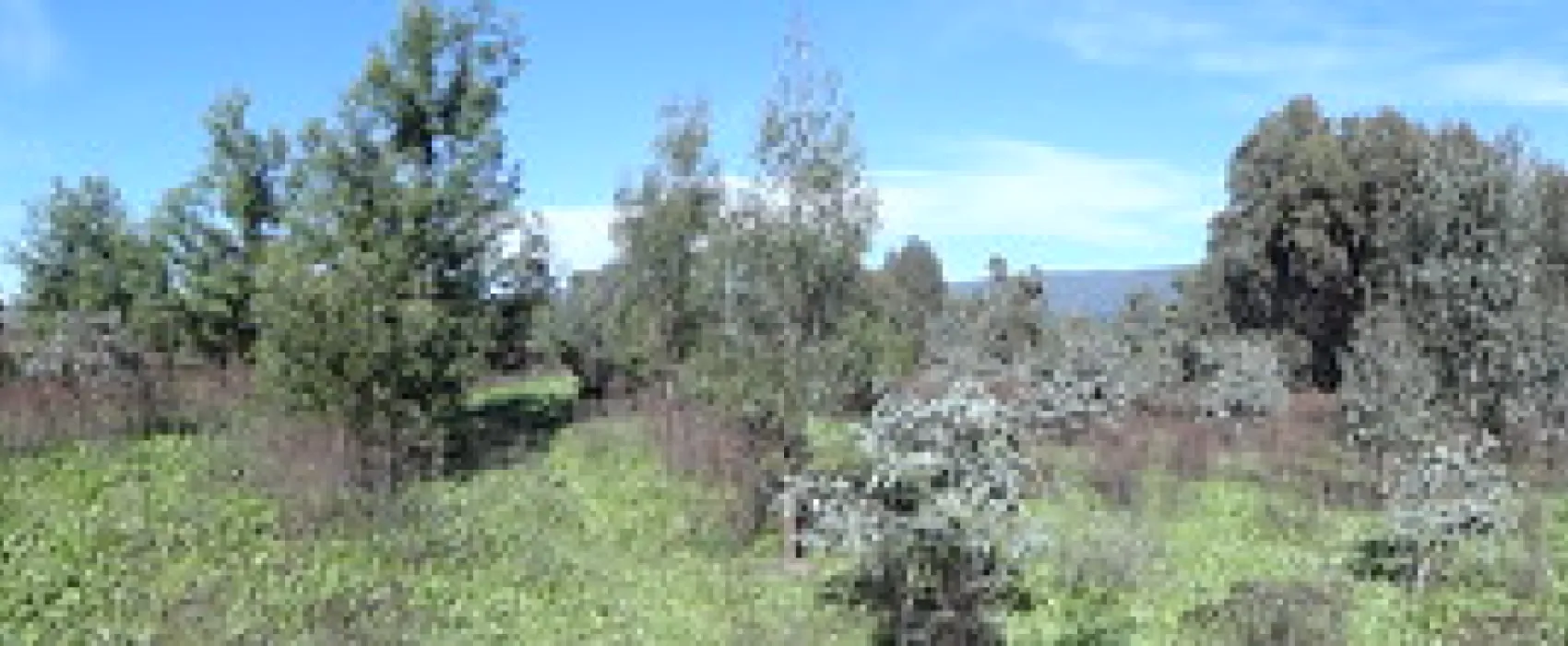 Yachting Point (Blowering Dam) Campground